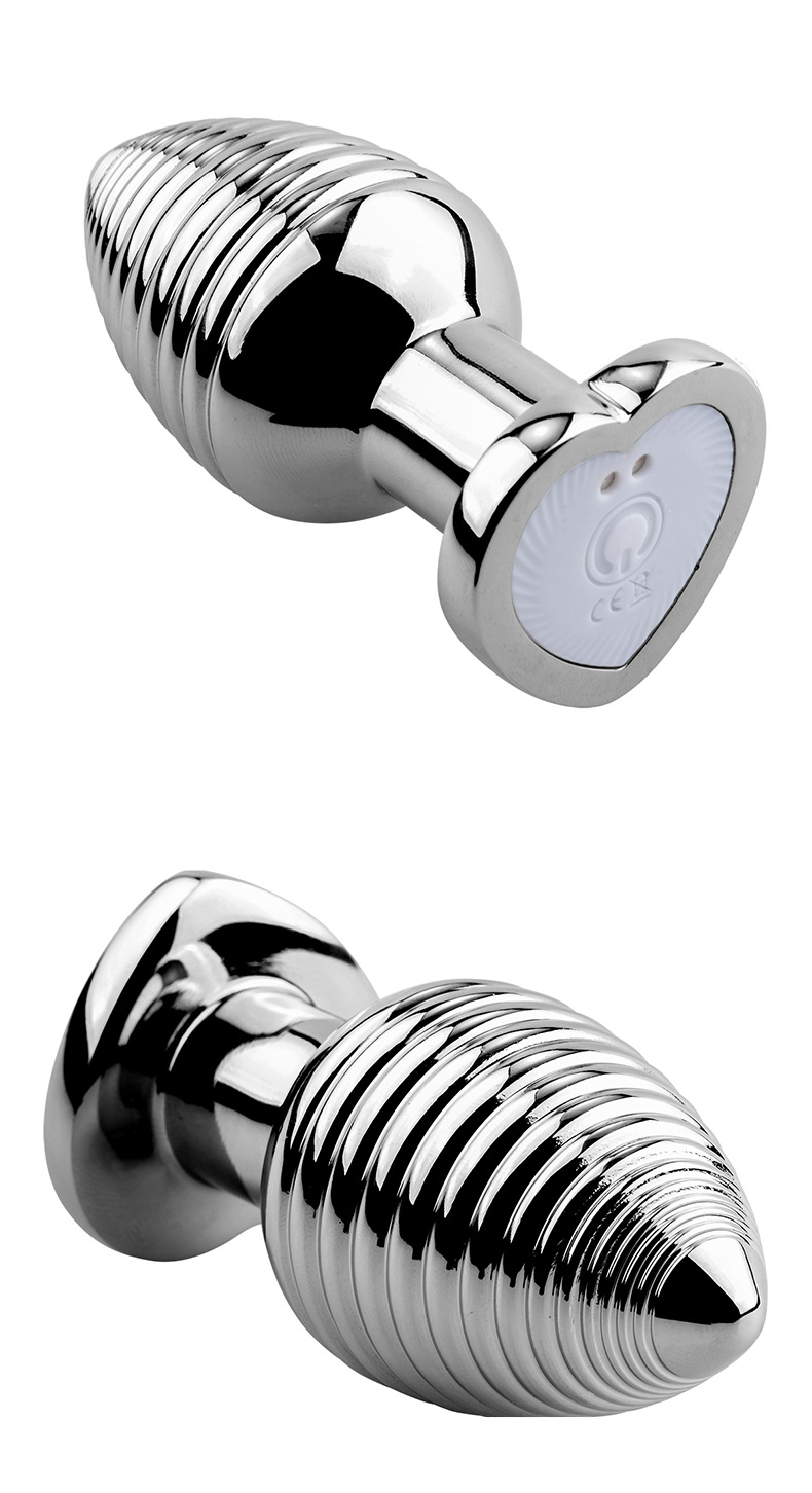 phích inox điều khiển từ xa