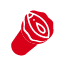 Category Icon