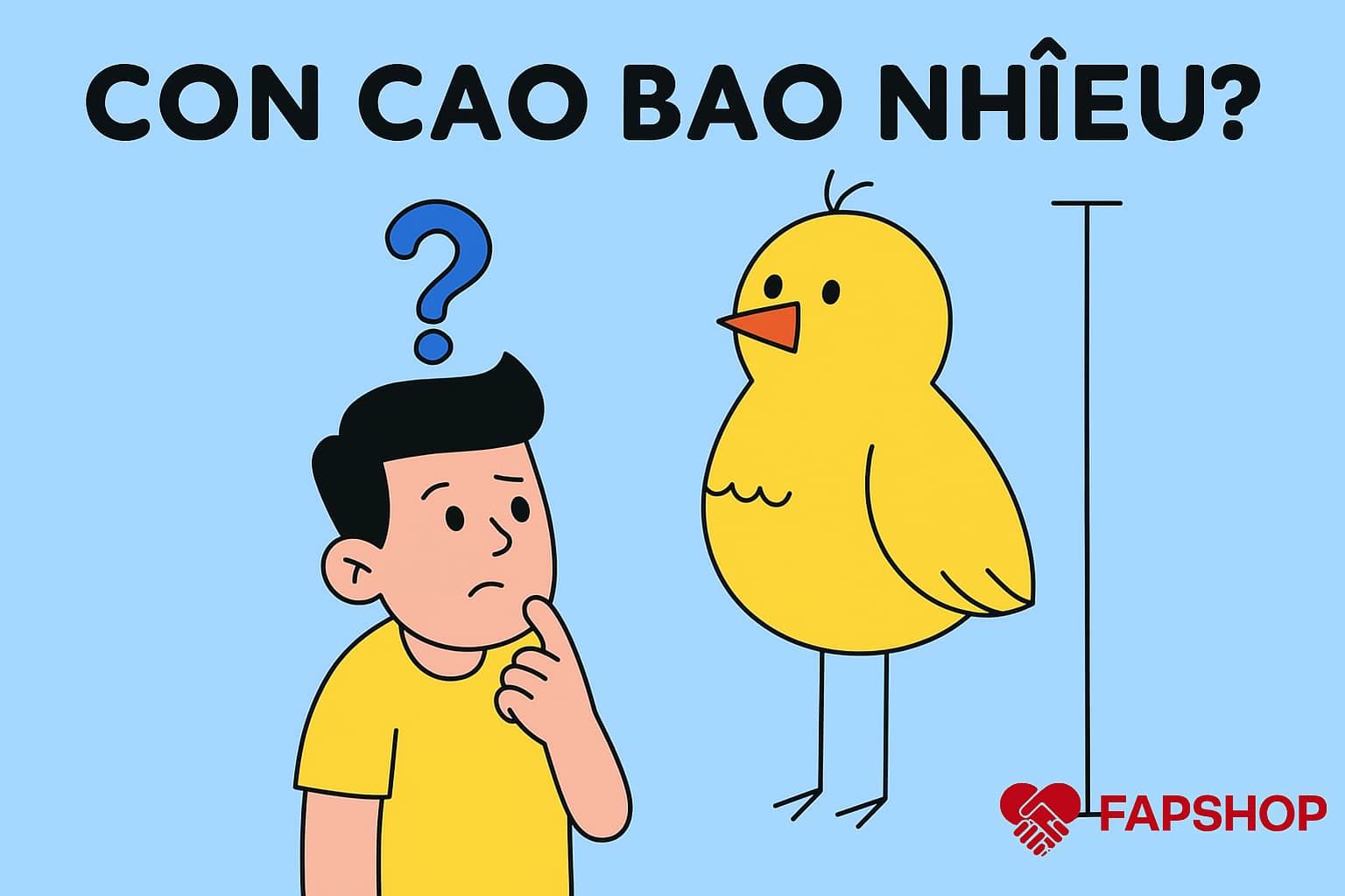 Dương Vật Dài Bao Nhiêu Là Đủ